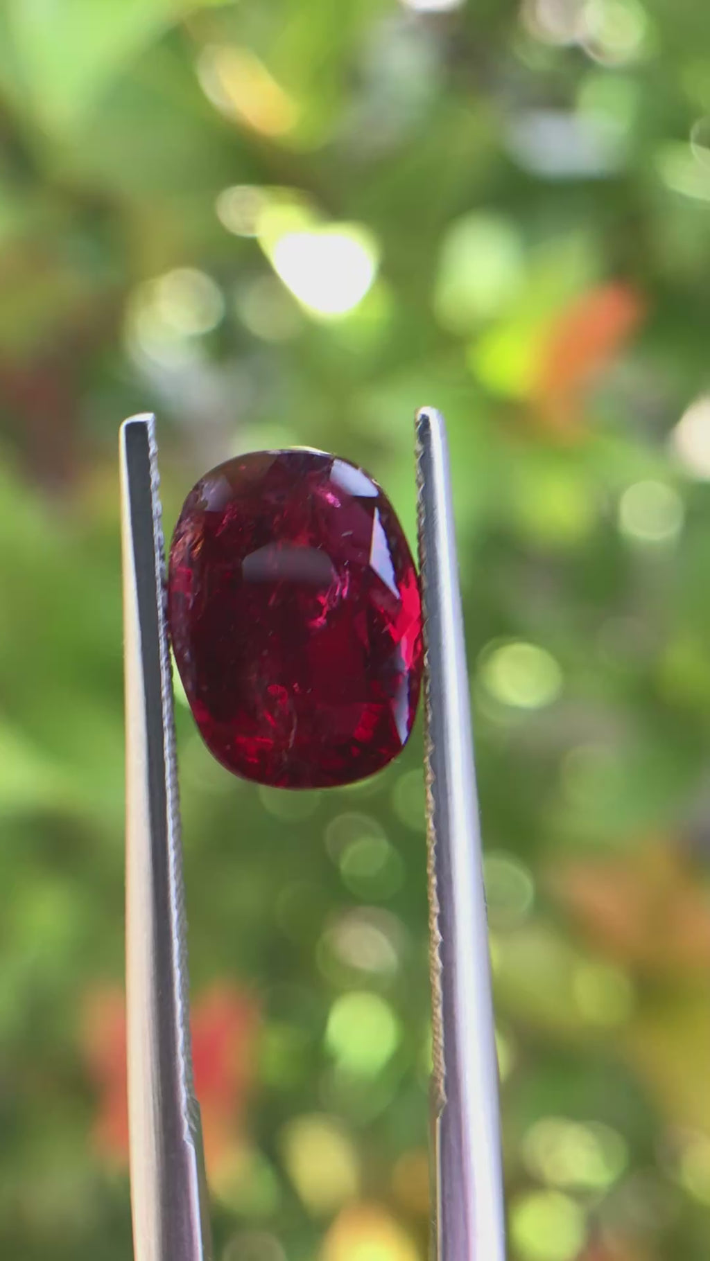 3.06 ct Natural Unheated Ruby - Oval Cut Vivid Red Loose Gemstone
