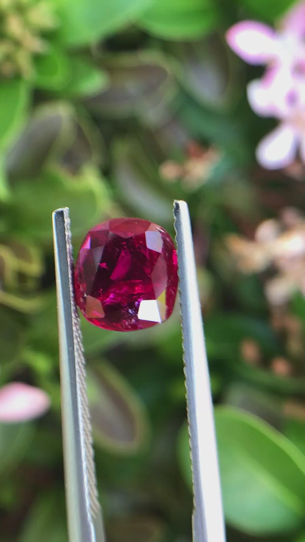 2.03 ct Natural Unheated Ruby - Cushion Cut Vivid Red Loose Gemstone