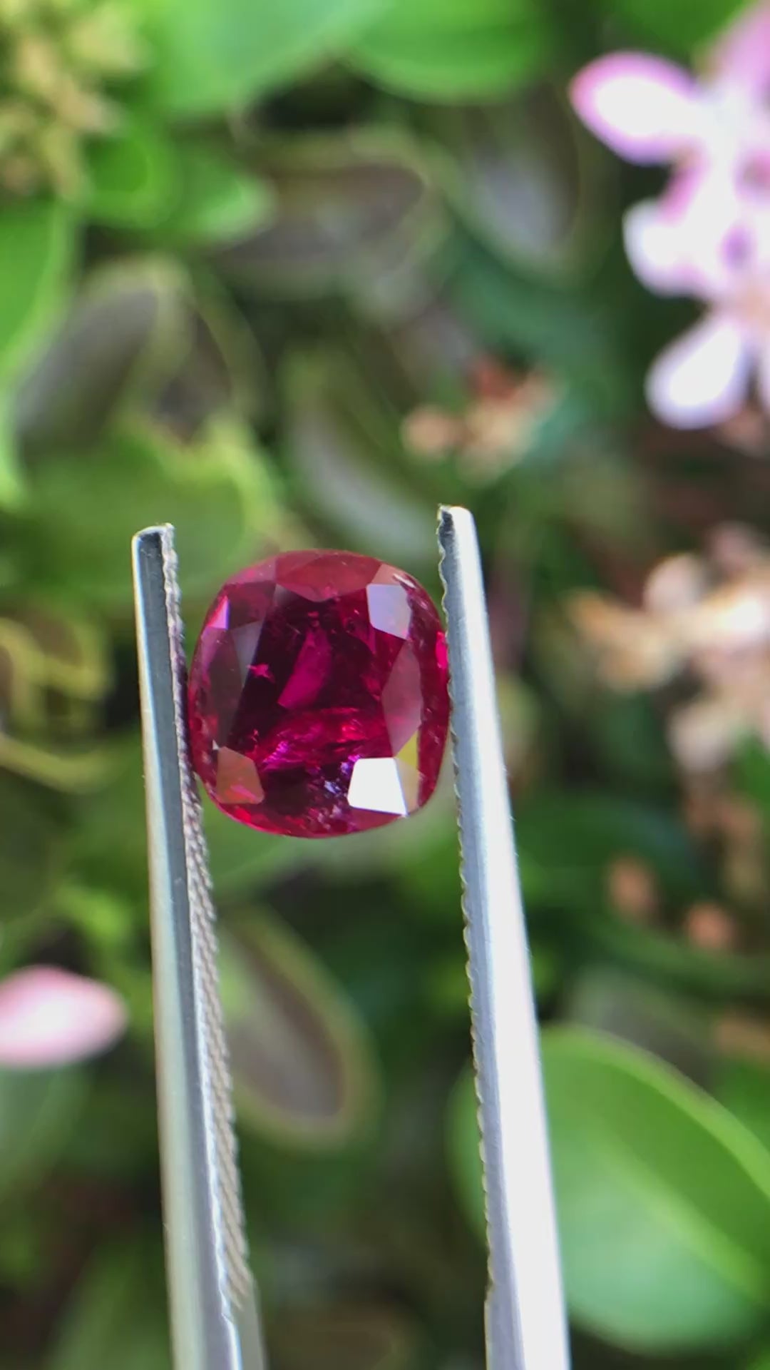 2.03 ct Natural Unheated Ruby - Cushion Cut Vivid Red Loose Gemstone