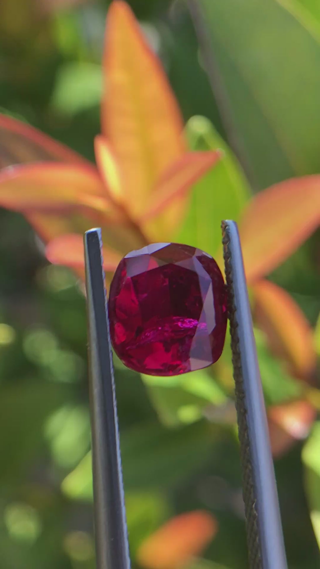 2.03 ct Natural Unheated Ruby - Cushion Cut Vivid Red Loose Gemstone