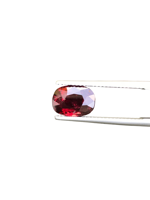 Shiza Gems 3.06 ct oval cut vivid red unheated natural ruby gemstone held by tweezers against a black background.