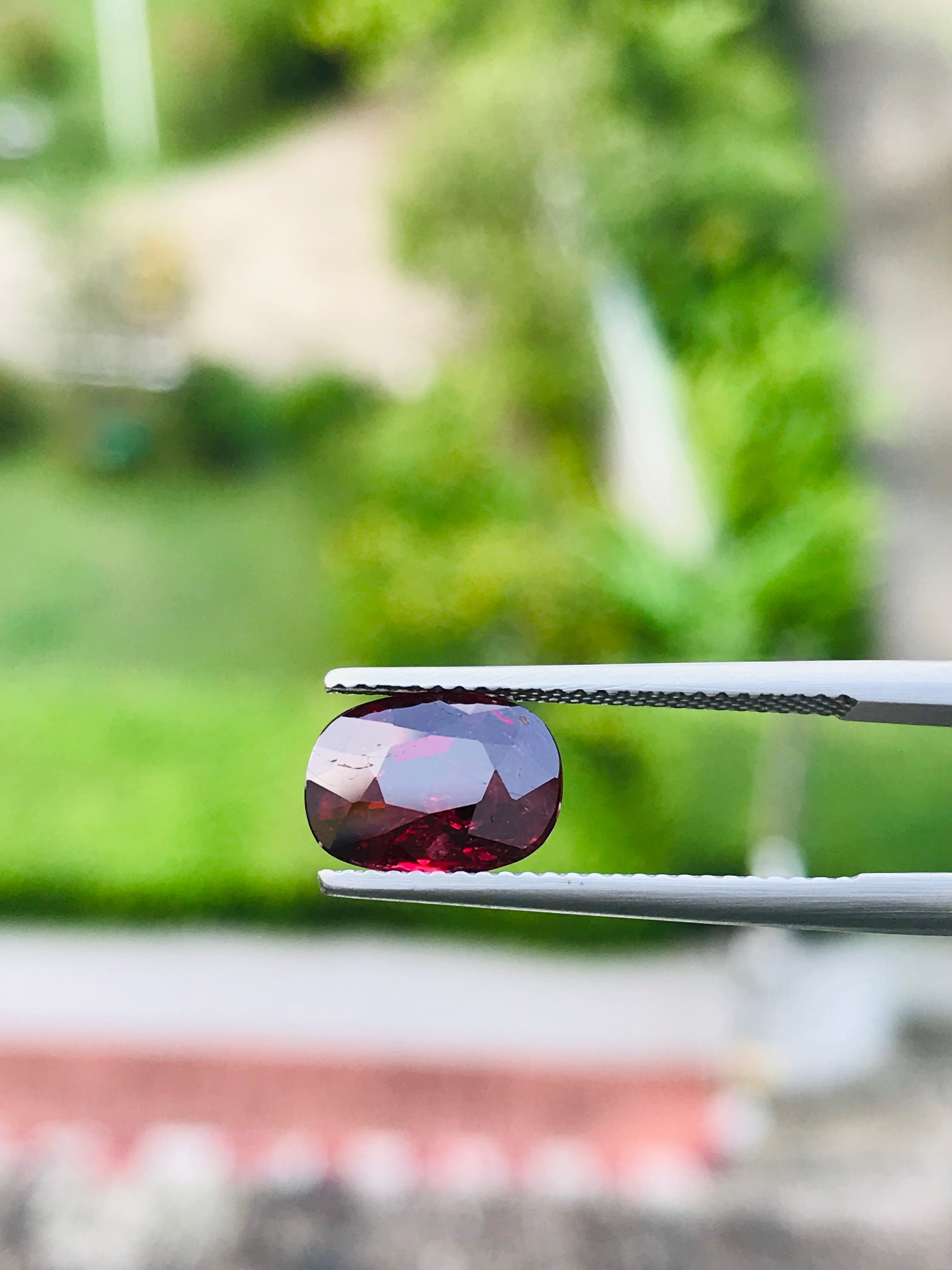 Shiza Gems 3.06 ct oval cut vivid red unheated natural ruby gemstone held by tweezers