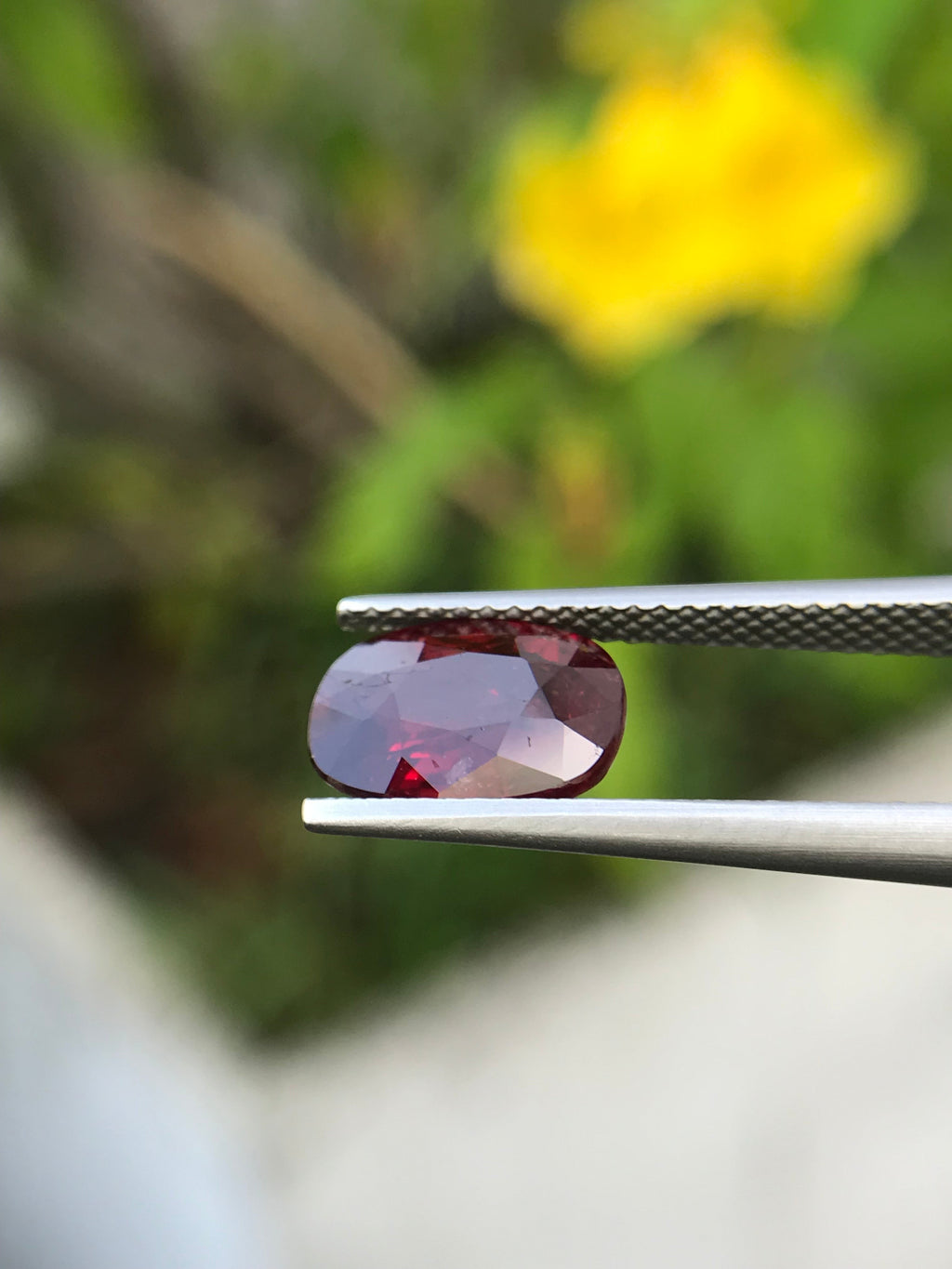 Shiza Gems 3.06 ct oval cut vivid red unheated natural ruby gemstone