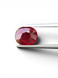 Shiza Gems 3.02 ct oval cut unheated ruby, vivid red, faceted gemstone for jewelry.