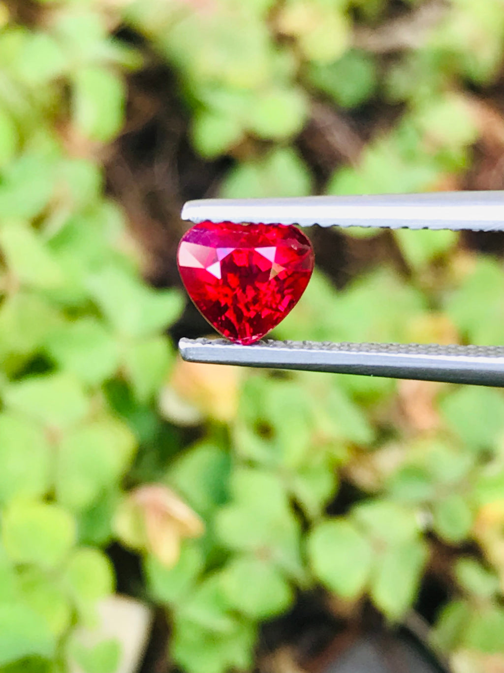 Shiza Gems 1.04 ct heart-cut vivid red unheated ruby gemstone from Mozambique