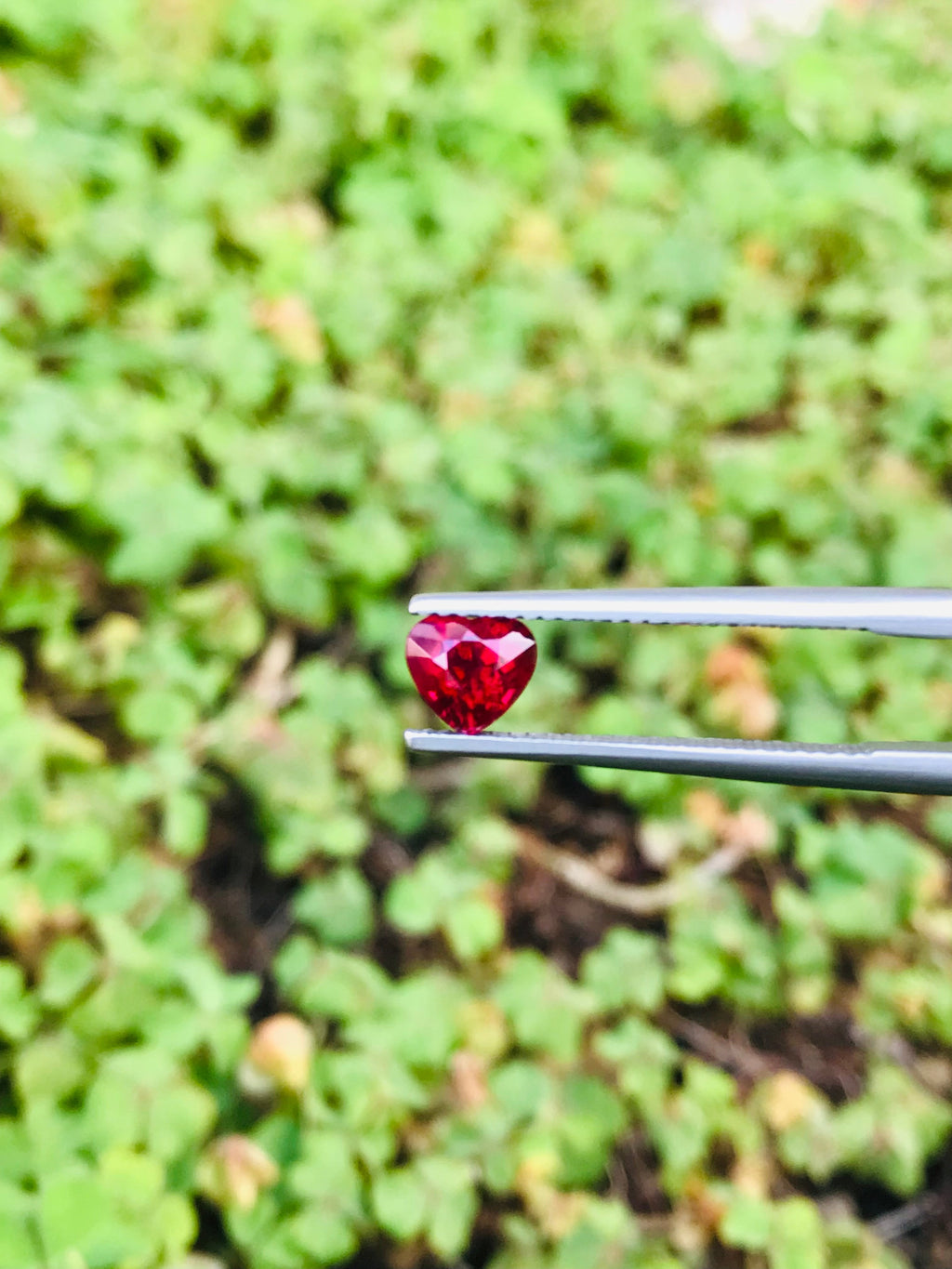 Shiza Gems 1.04 ct vivid red heart-cut unheated ruby gemstone from Mozambique